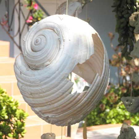 Aeolos Studios Kefalonia Khelmata ภายนอก รูปภาพ