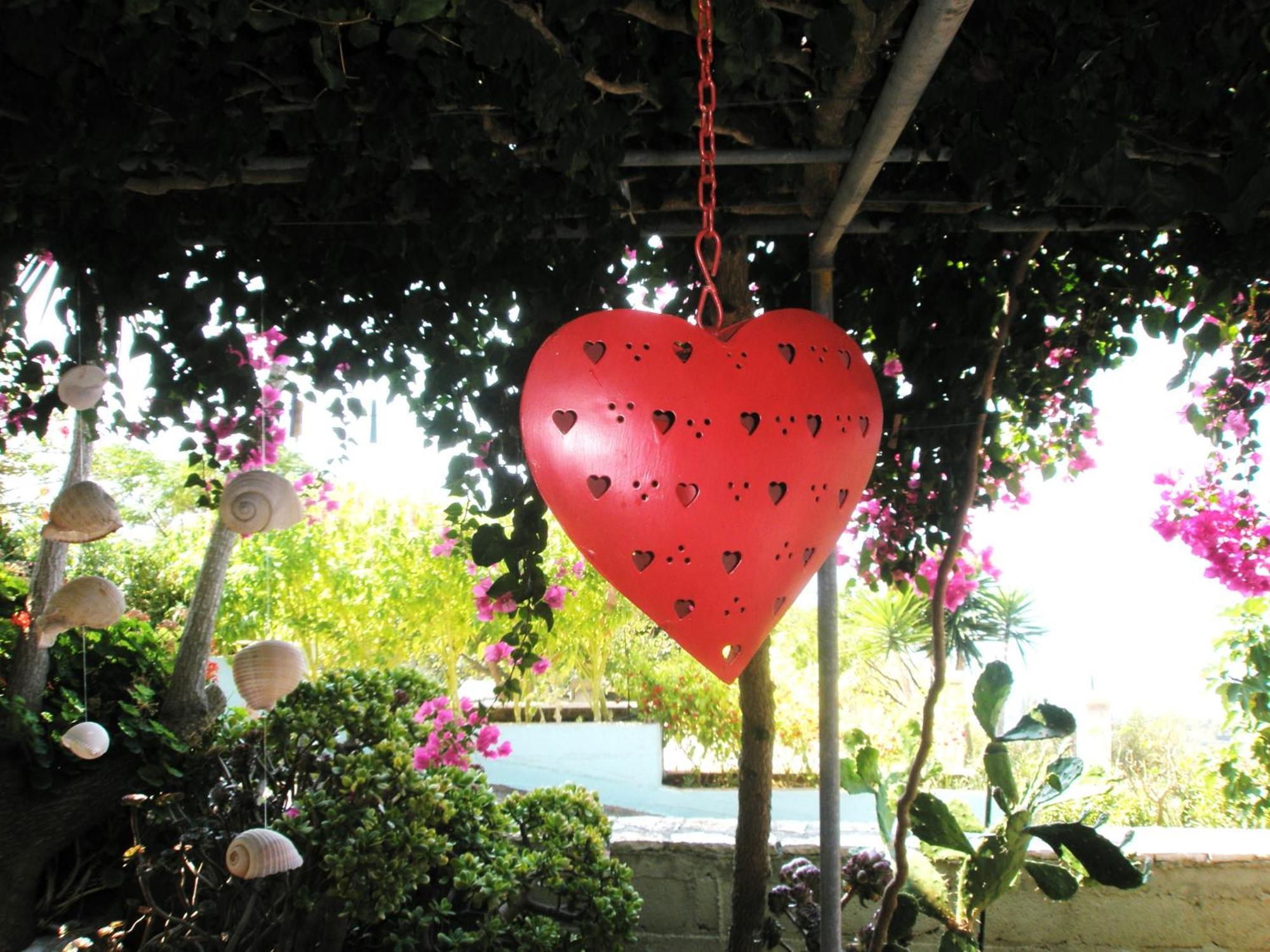 Aeolos Studios Kefalonia Khelmata ภายนอก รูปภาพ